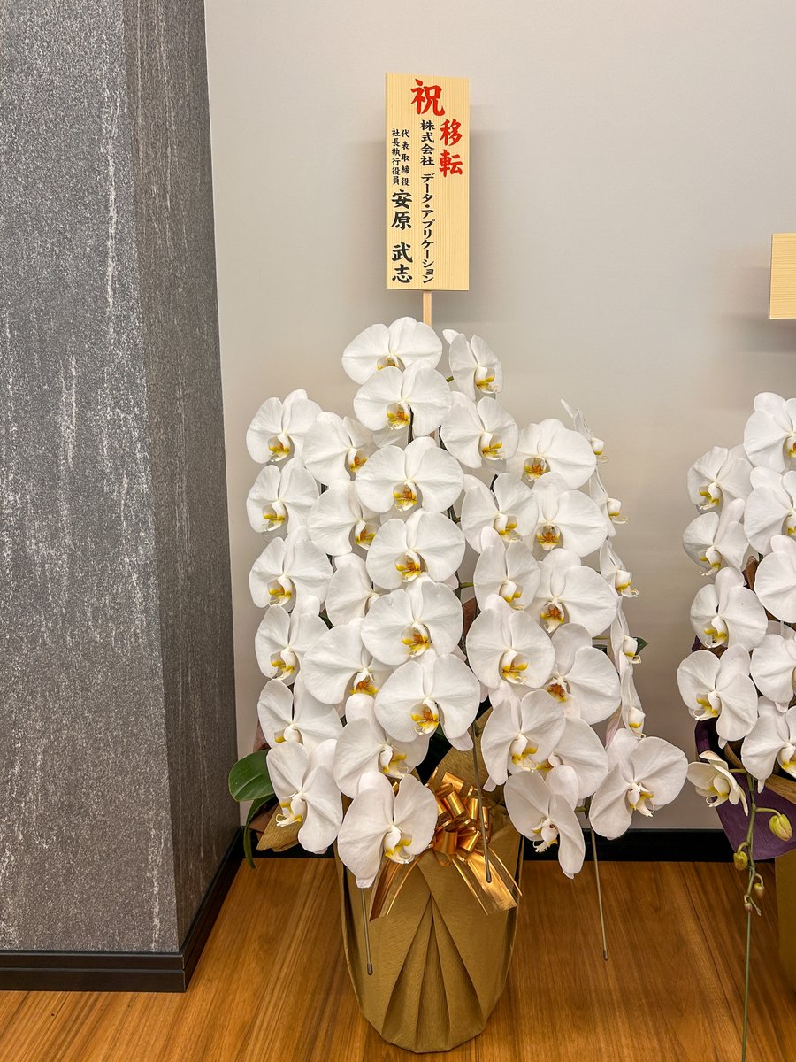 melloninc_'s tweet photo. データ・アプリケーション（@dal_acms）様より、お引越し祝いでお花をいただきました！
オフィスが一気に華やかになり、身の引き締まる思いです✨
お心遣い本当にありがとうございます。
グループの一員として、これからも精一杯頑張ります！ https://t.co/WKAV6fdJJt