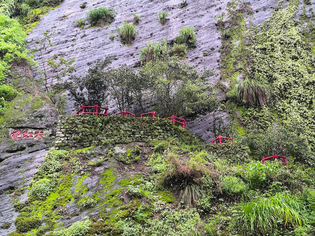 SantoshTy74346's tweet image. "When you feel stuck, remember: every 'I can’t' is a step closer to 'I did.' Break the limit—your next win starts with one brave move.  #ChallengeAccepted #GrowthMindset"