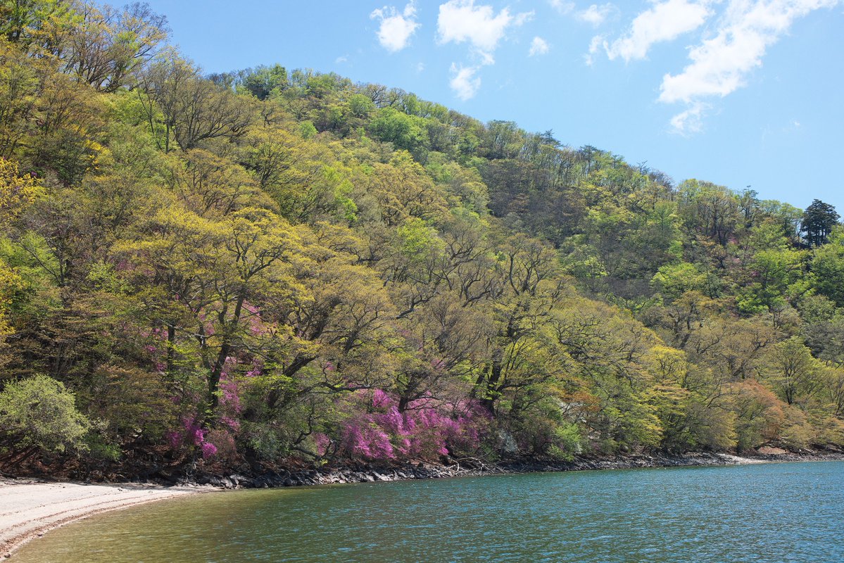 日光自然博物館 tweet media