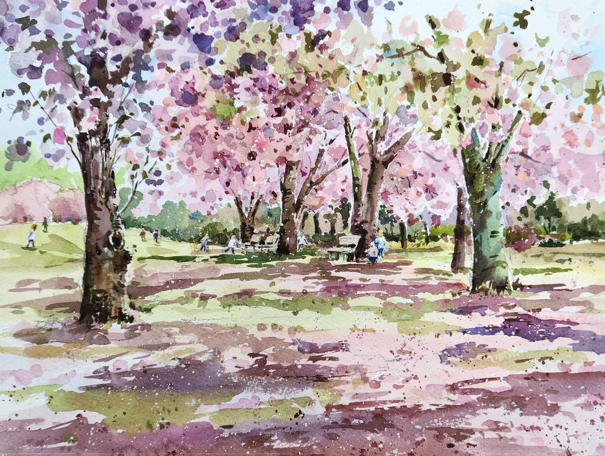4月中旬、難しいスケッチでしたが、散り始めた八重桜がきれいでした