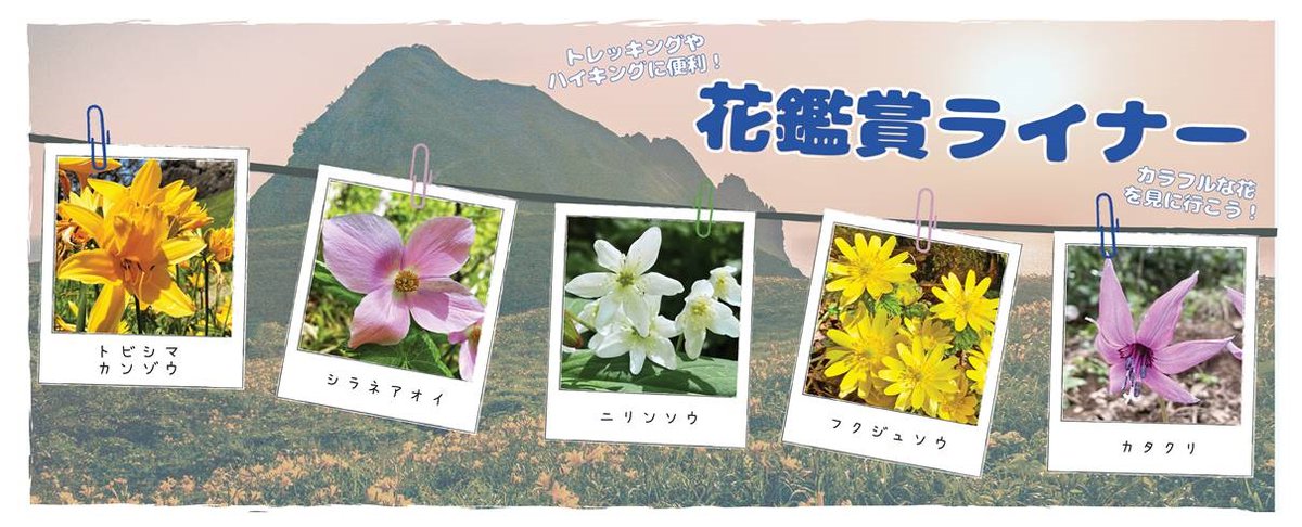 佐渡市役所 tweet media