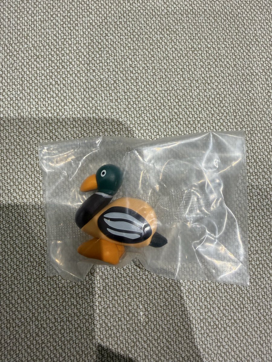 はちみつ🍯 tweet media