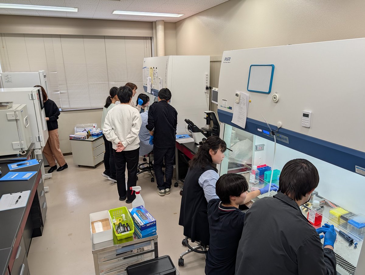 Nakashima Lab (熊本大学 中島研究室) tweet media