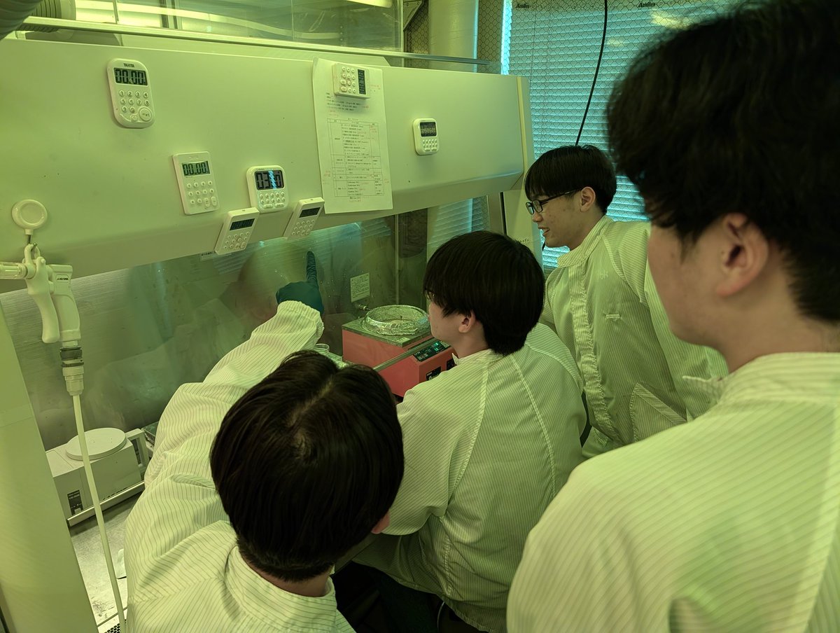 Nakashima Lab (熊本大学 中島研究室) tweet media