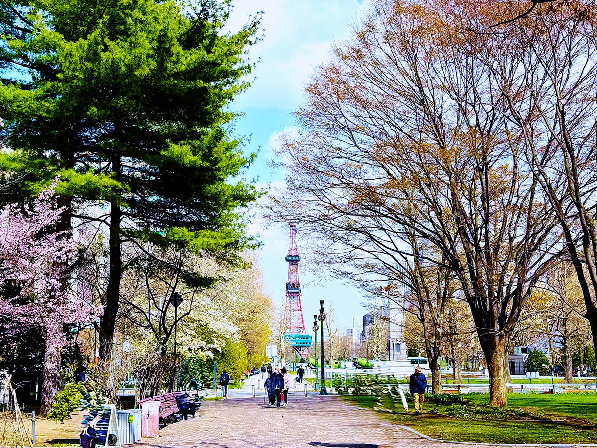 うさ＊かえもえ亭 tweet media