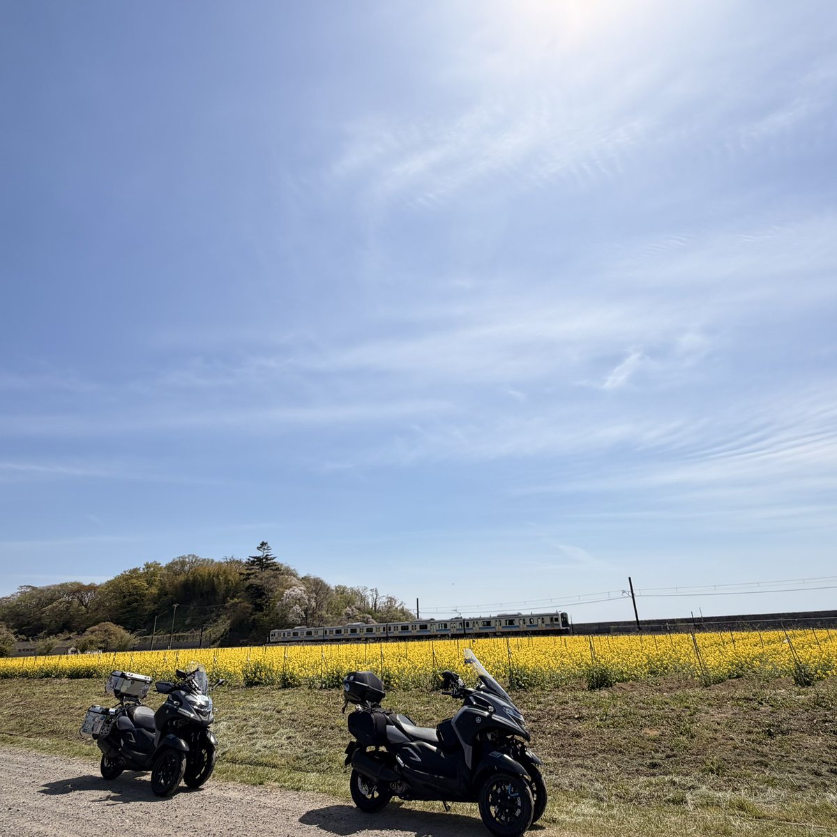 暴れる三足＠バイク専用キャンプ場開拓中 tweet media