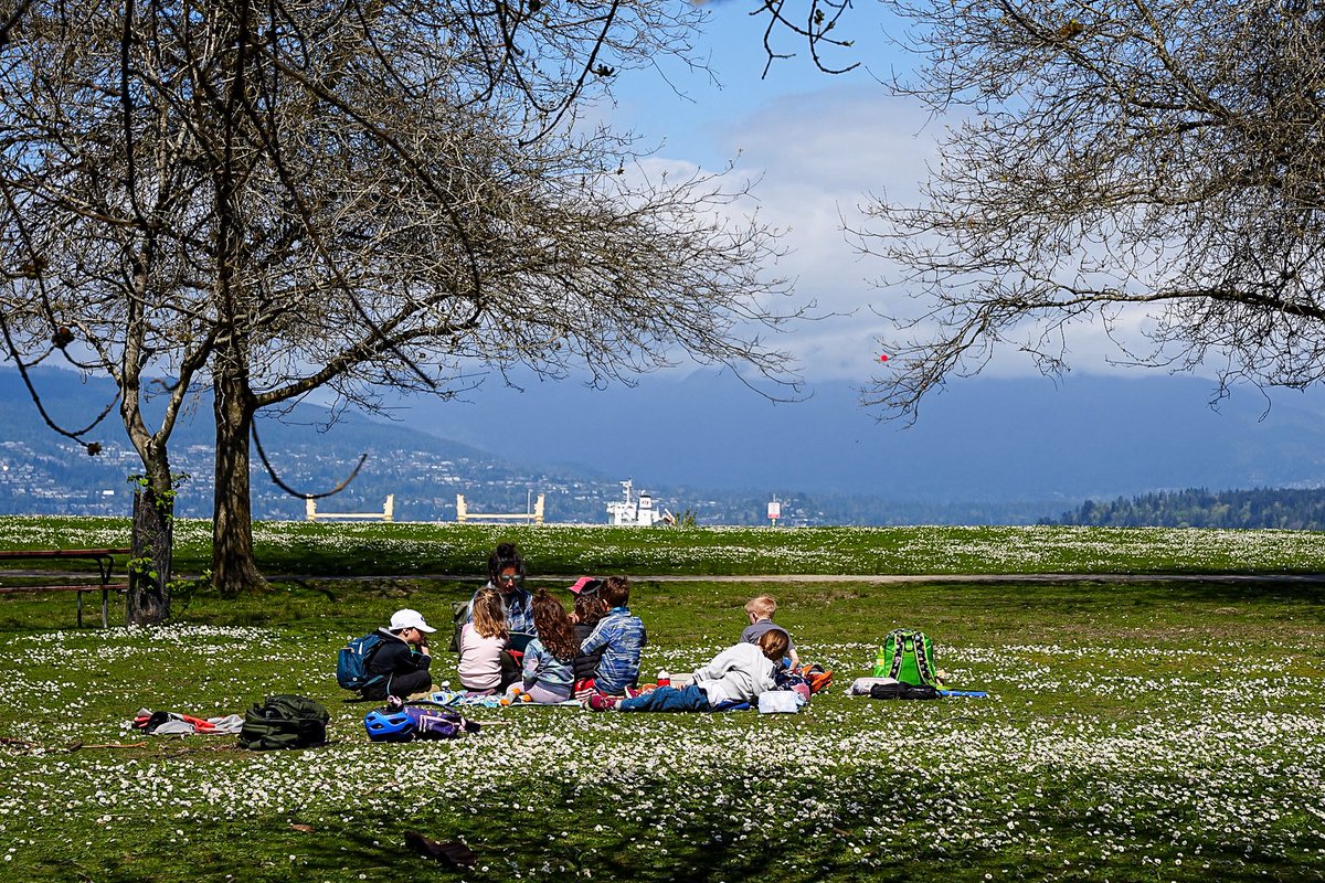 SkykidLan's tweet image. 4.23  Canada goose妈妈离巢在水边停留，再回到巢里整理蛋，坐得很轻很小心，身体不再压坐得很低，看着像是到了后期，两只鹅都瘦了，一切安好。
#Vancouver 🇨🇦