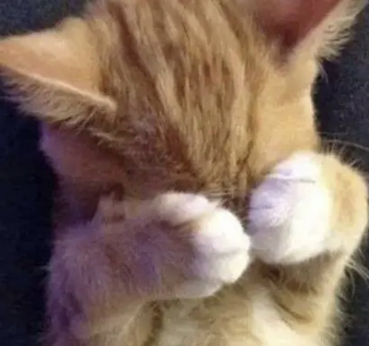 Zajbvgbch tweet media