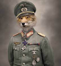 MR.FOX.BOY tweet media