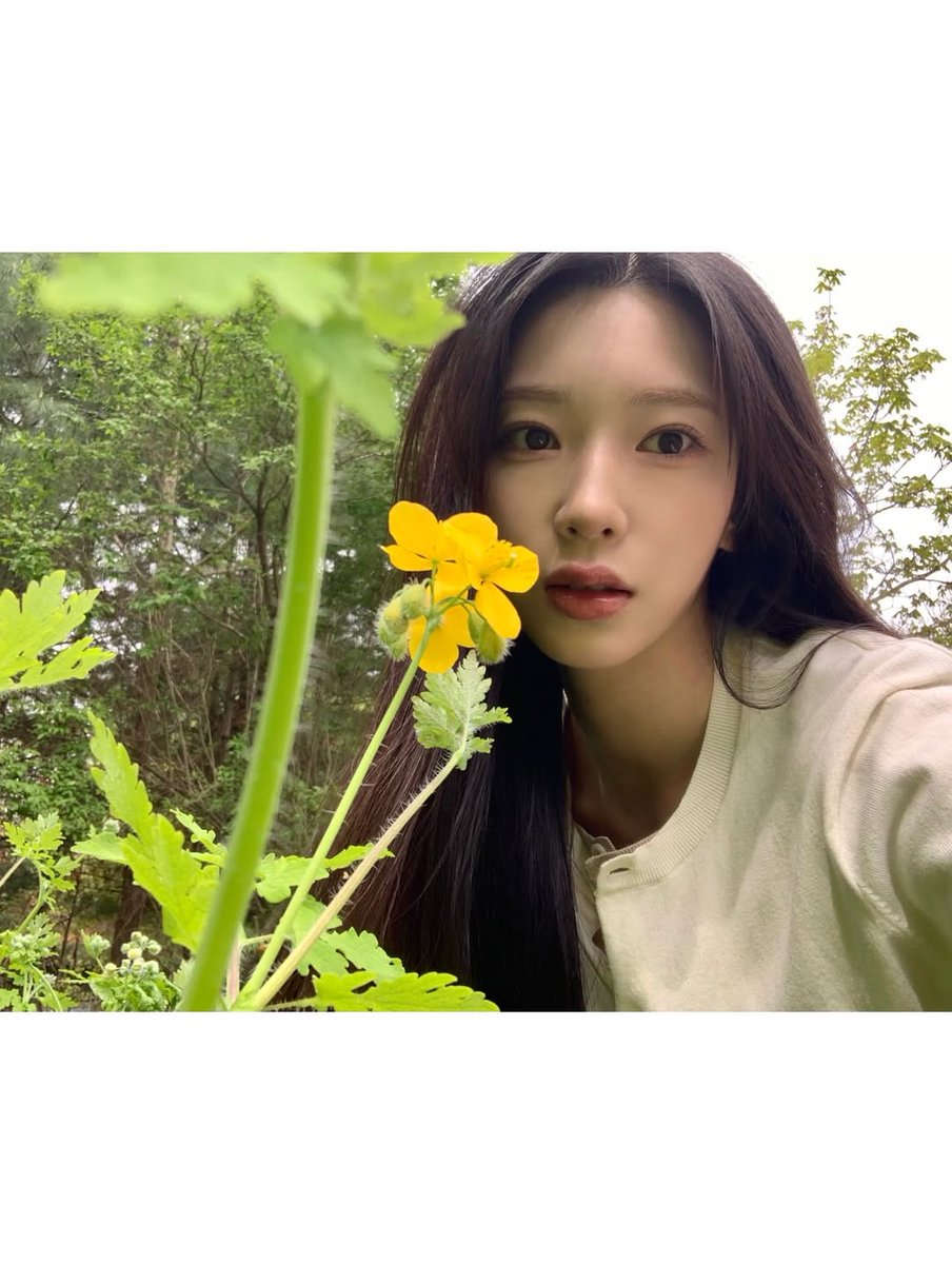 VhanchyRCPC's tweet photo. ❤️🐰︱[ #HiSUYUN ]

우리 내일봐☘️ 얼른보고싶다 켓치야💛

︱🔗 (https://t.co/HAlQBQay3d)

#RocketPunch #로켓펀치 #Suyun #수윤 https://t.co/zZTwWLqI5Q