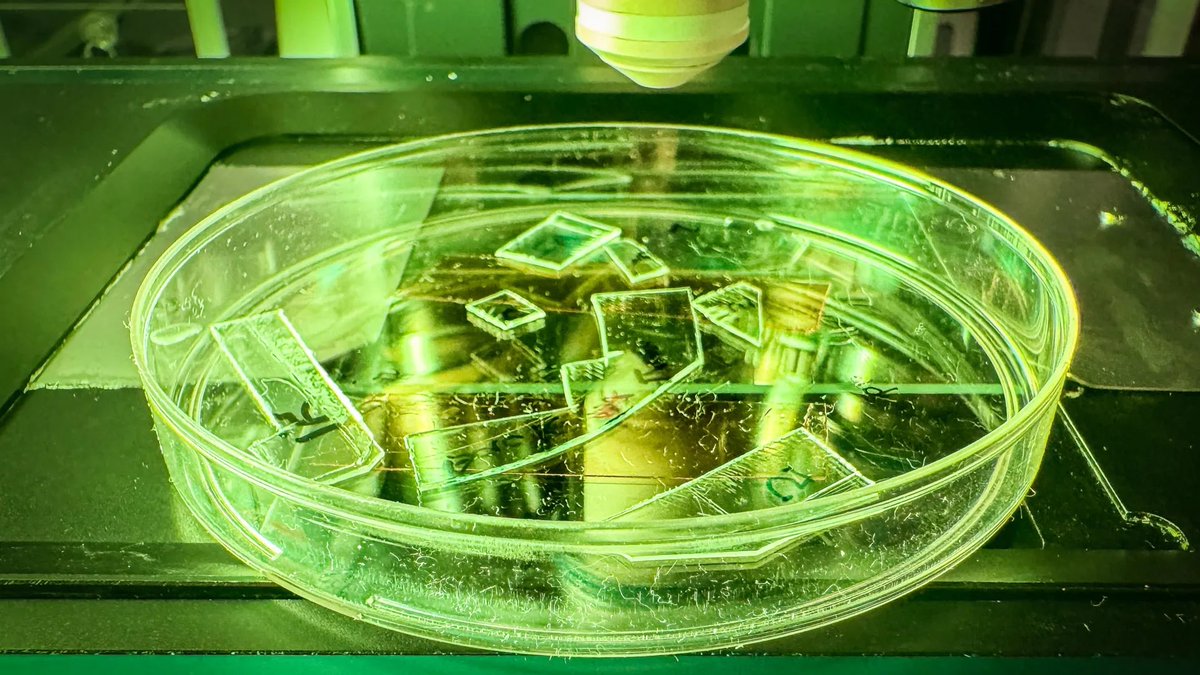 KairavEngineer's tweet image. Read about researchers developing a plastic that can deactivate viruses on contact. This would be a notable step in material science, the real question is whether it can scale

#MaterialScience #Innovation #HealthcareInnovation #Virology #PublicHealth #SustainableTech