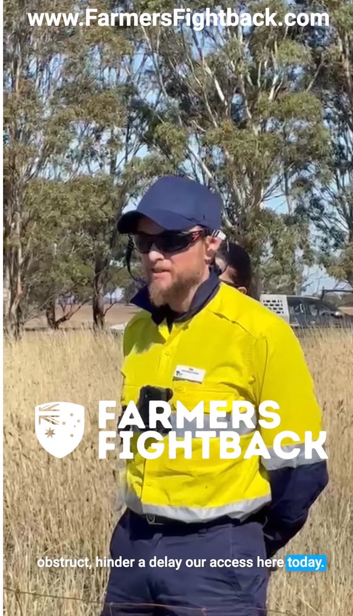 Jill Marinelli tweet media