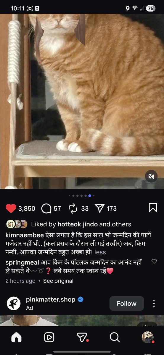 kush tweet media