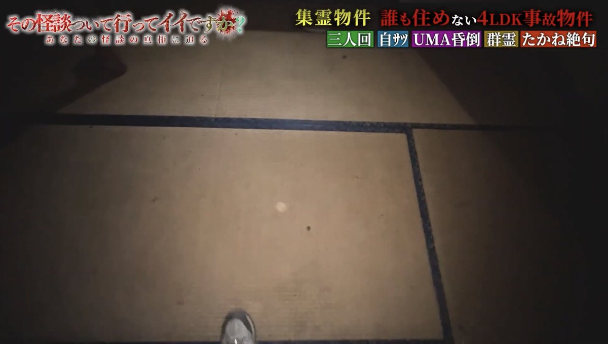 UMA/その怪 tweet media