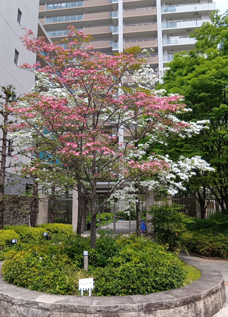 なんぶぅ～│ASNOVA 事業推進部 tweet media
