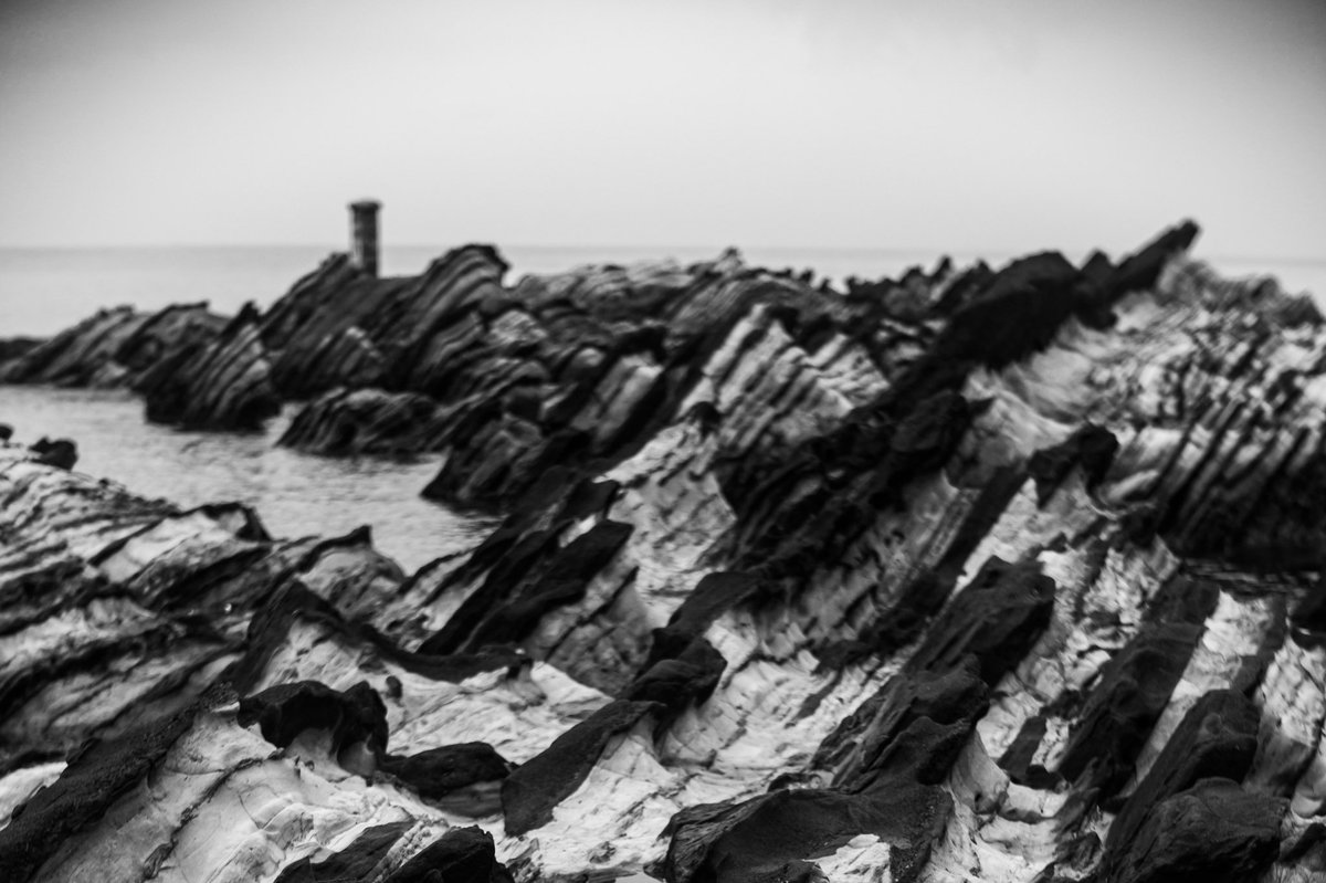 Choco Choco📸 tweet media