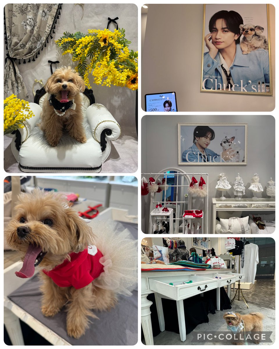 忠健(ChU:(Ke)nity) tweet media