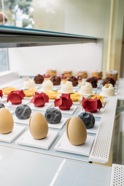 제주감귤(랜선효도) tweet media