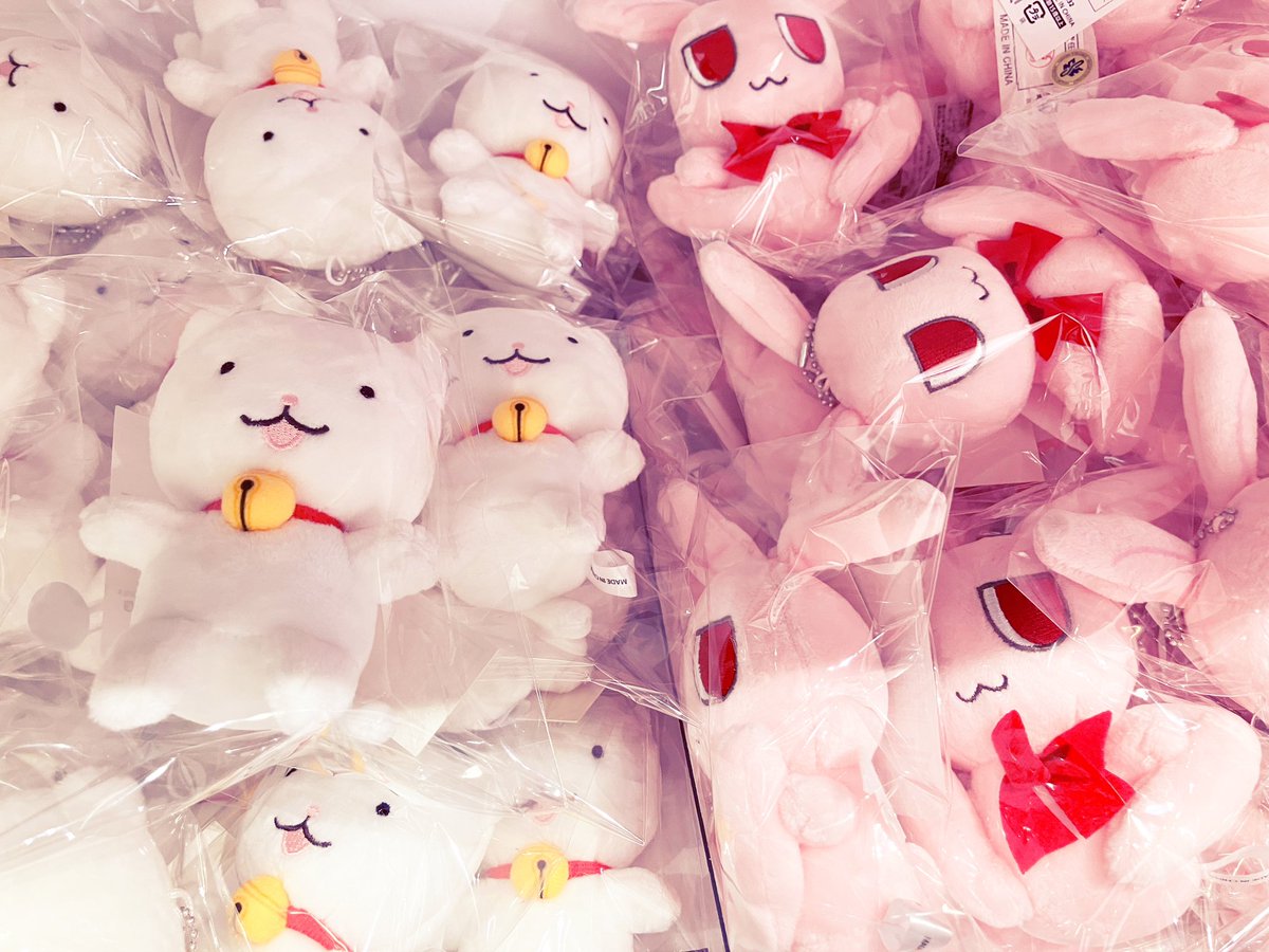 種村有菜 tweet media