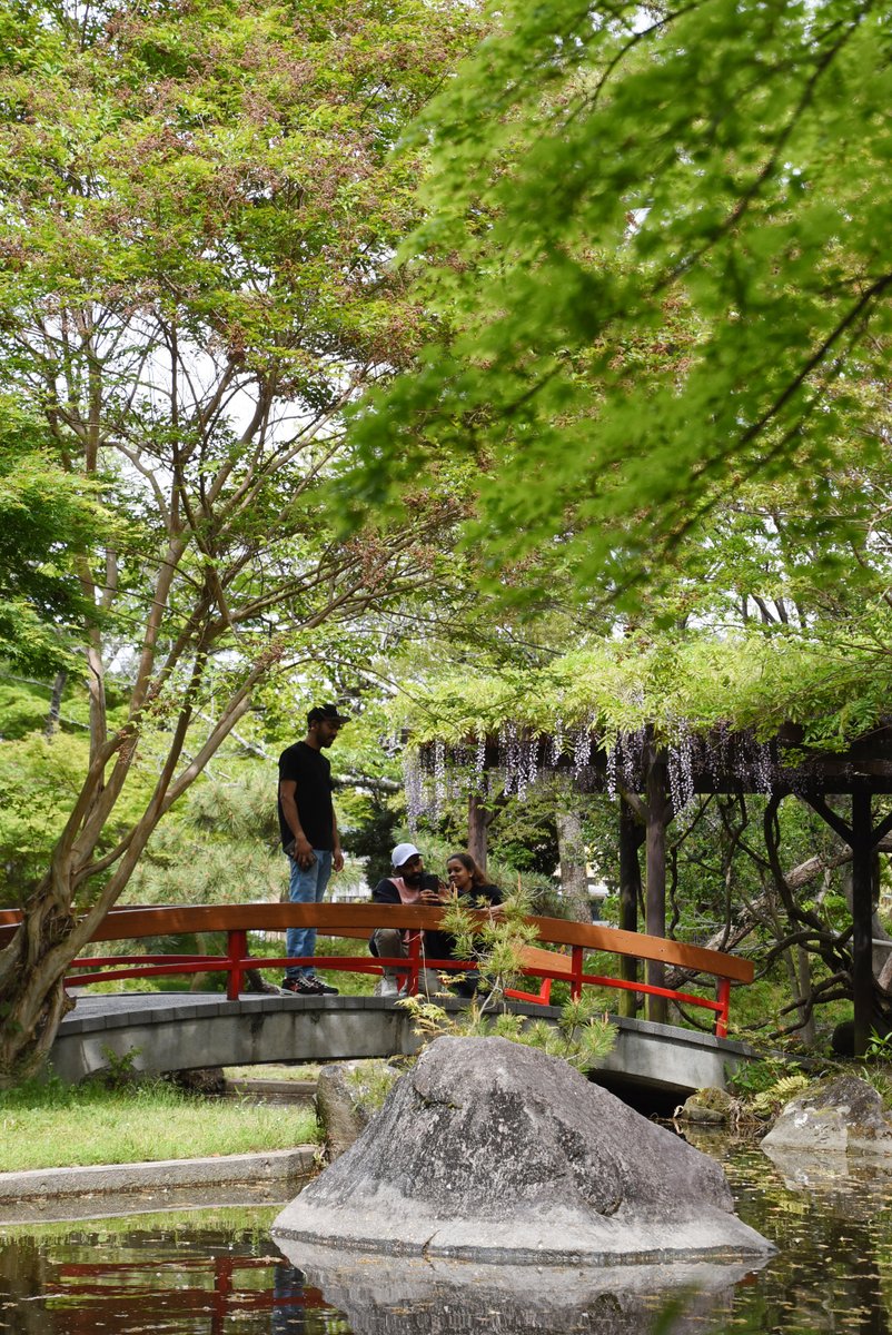 磐田市広報担当 tweet media