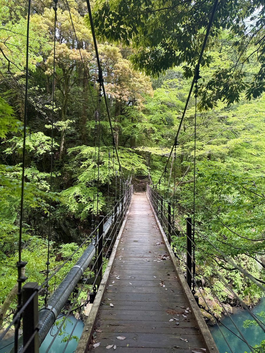 ごめす:KSGK中学生 tweet media