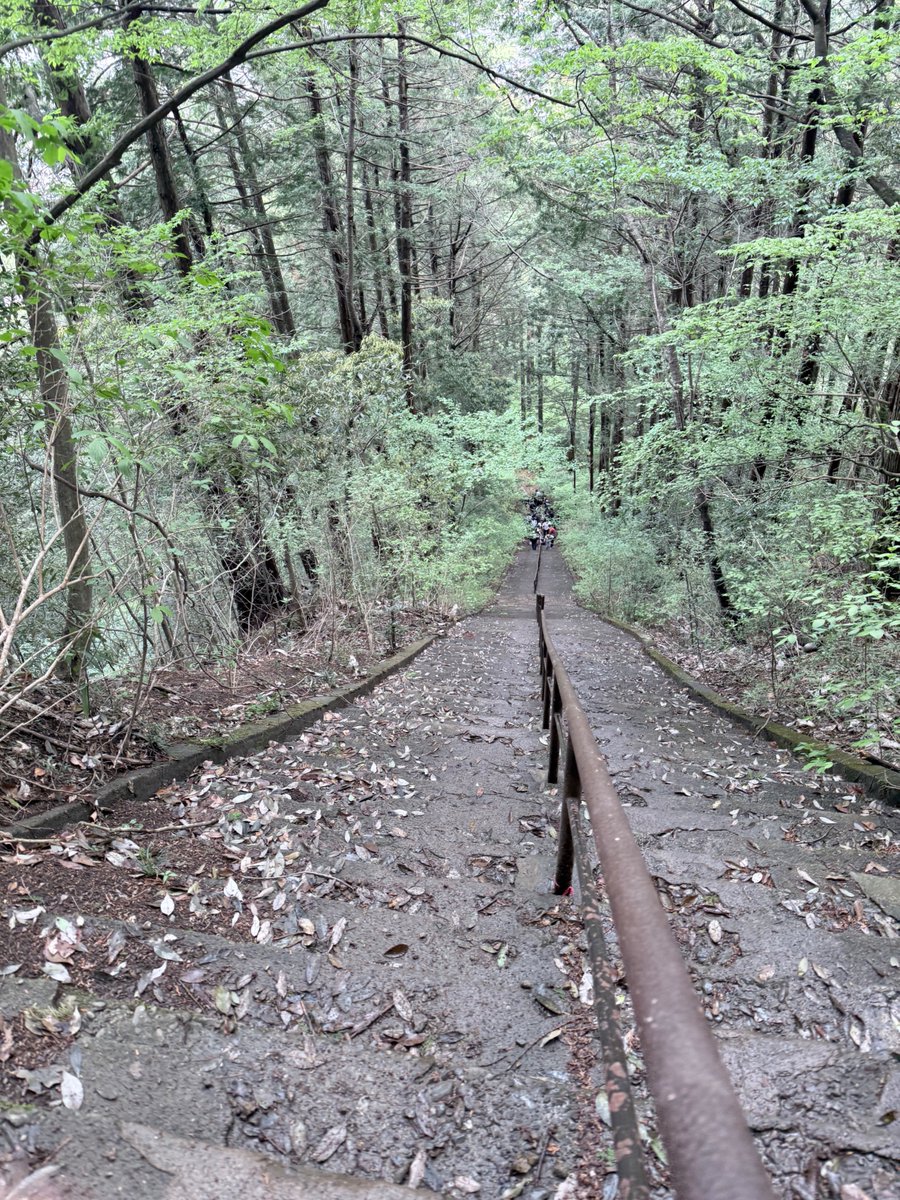 ごめす:KSGK中学生 tweet media