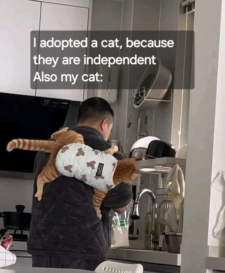 😆 😆 😆