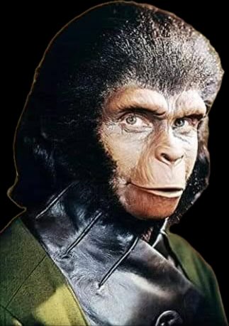 Dean-a-nator tweet media