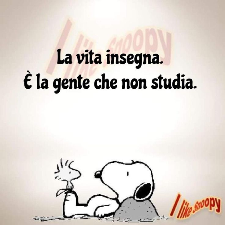 viniciotro... i💓🇮🇹 tweet media