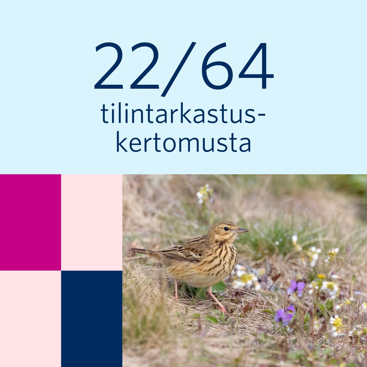 Valtiontalouden tarkastusvirasto tweet media