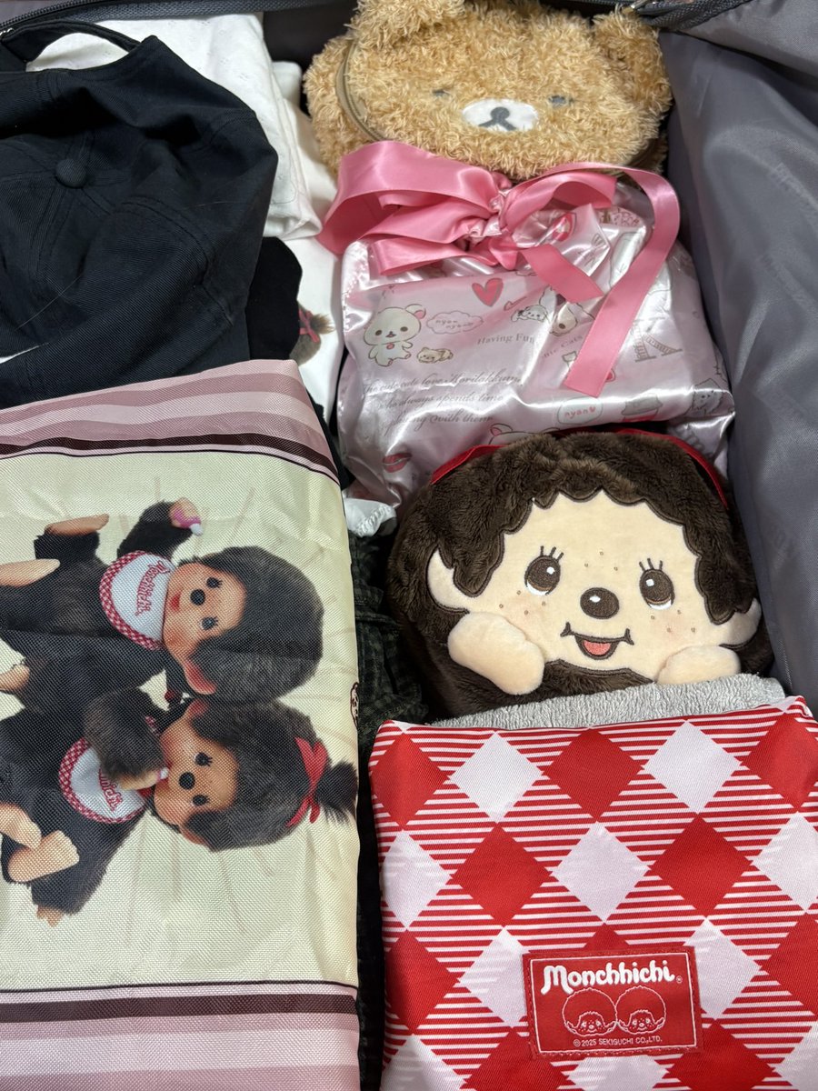 짐싸다보니 몬치치천국