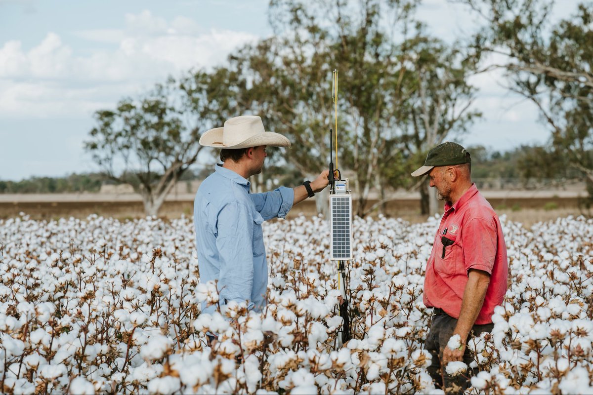 PorosityAg's tweet photo. 🥵 the best thing about no rain… less compaction 😅 
- extremely dry finish to NNSW and summer cropping, with no rain for 30days.
- heavy machinery on dry soils = less compaction ✅
- our #SMP (soils moisture probes) showing crops drying the soil to depth ✅
- all 252 probes now removed, wrapping up the 25/26 cotton season… literally!
And… continuing our webpage photography, thanks to @ambercreative