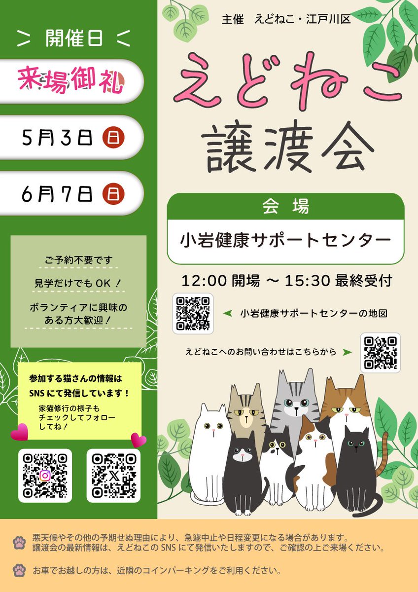 えどねこ tweet media