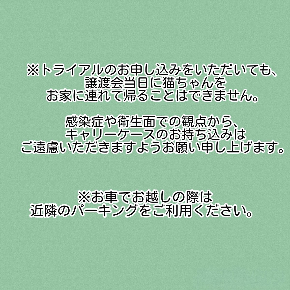 えどねこ tweet media