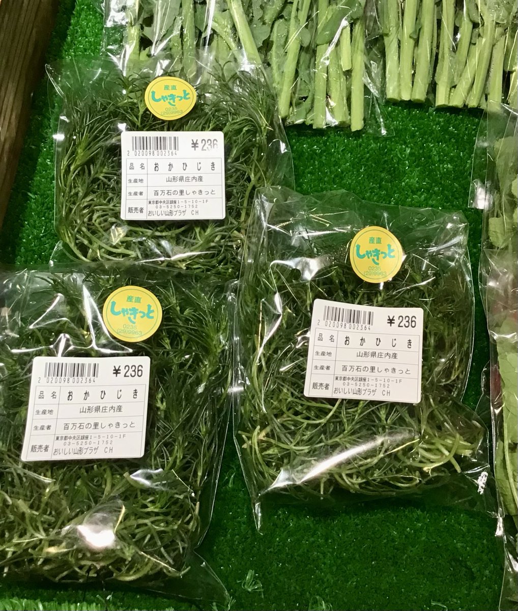 おいしい山形プラザ tweet media
