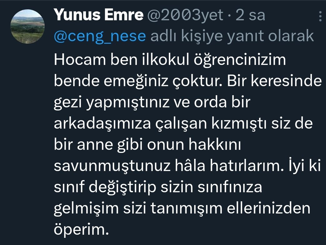 Neşe Cengiz tweet media