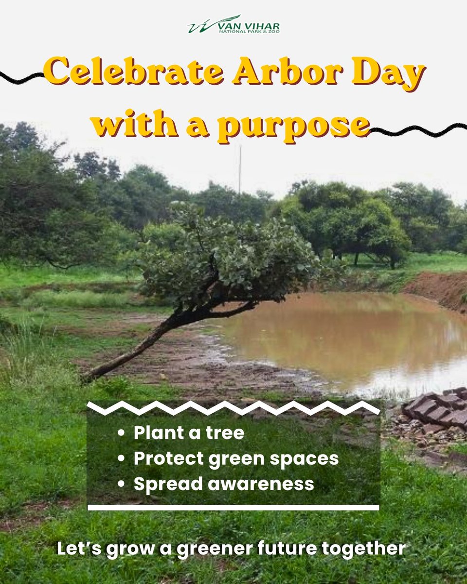 Van Vihar National Park tweet media