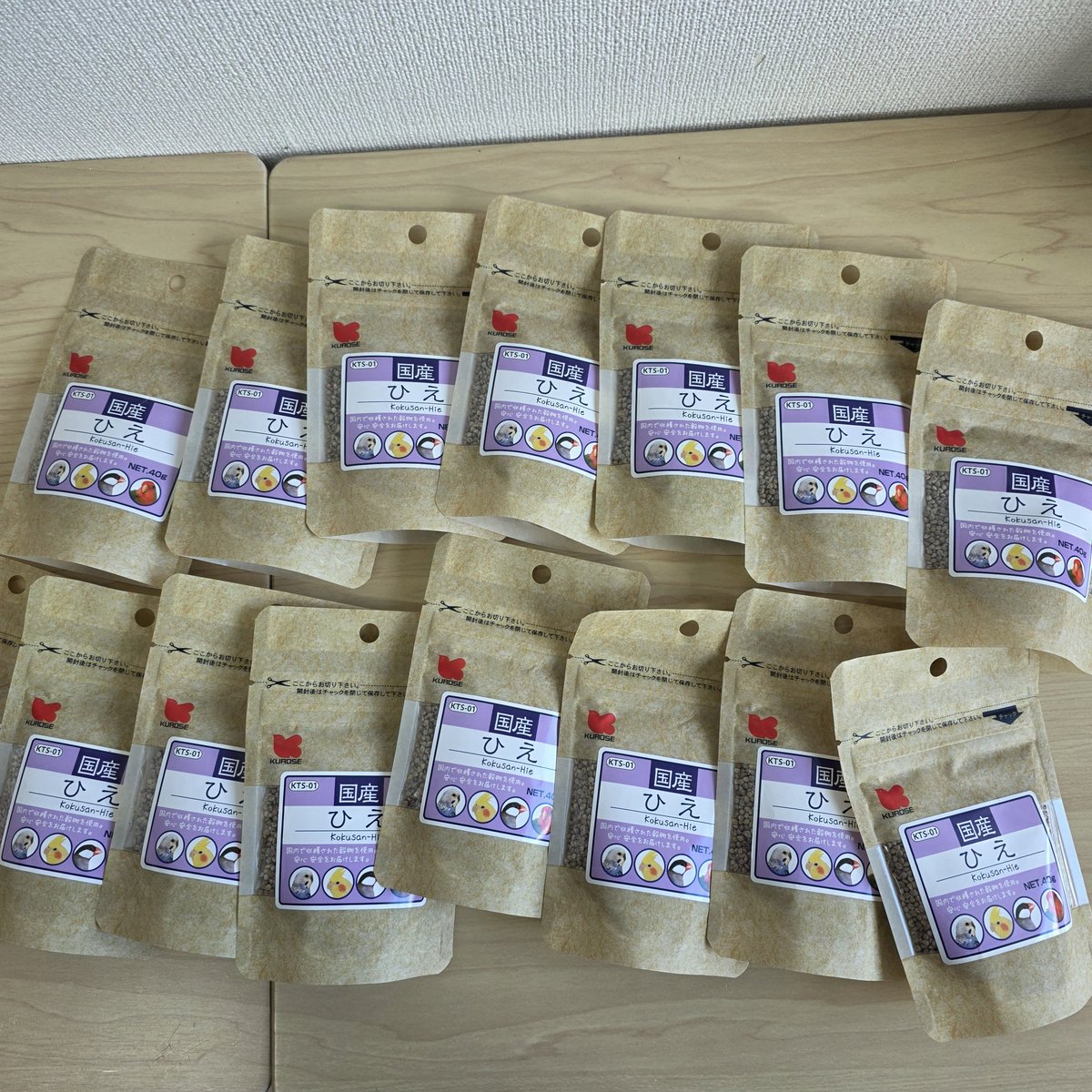 【公式】NPO法人 Bridge for the birds tweet media