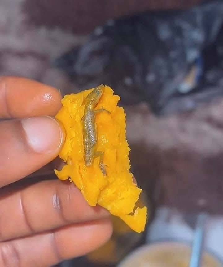 OREOFE tweet media