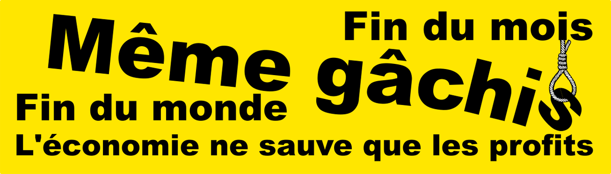 Pochon tweet media