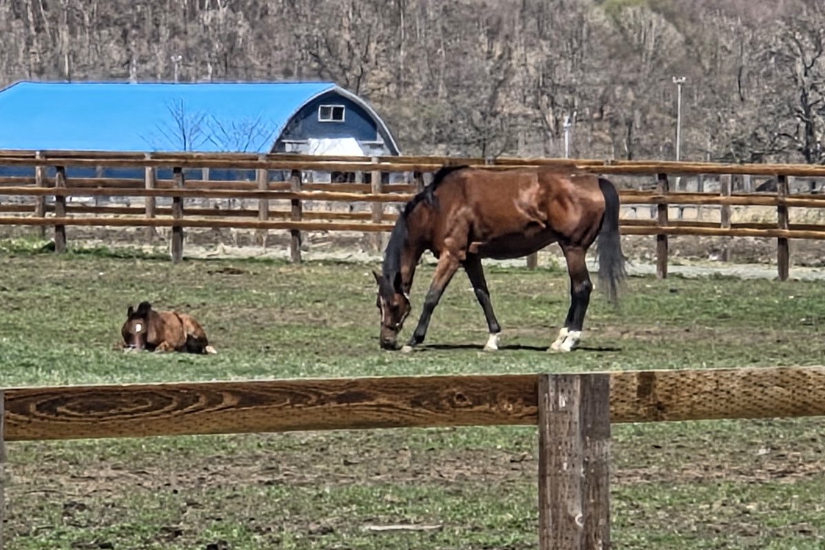 MAIKO🌿もっともっともるもっと tweet media