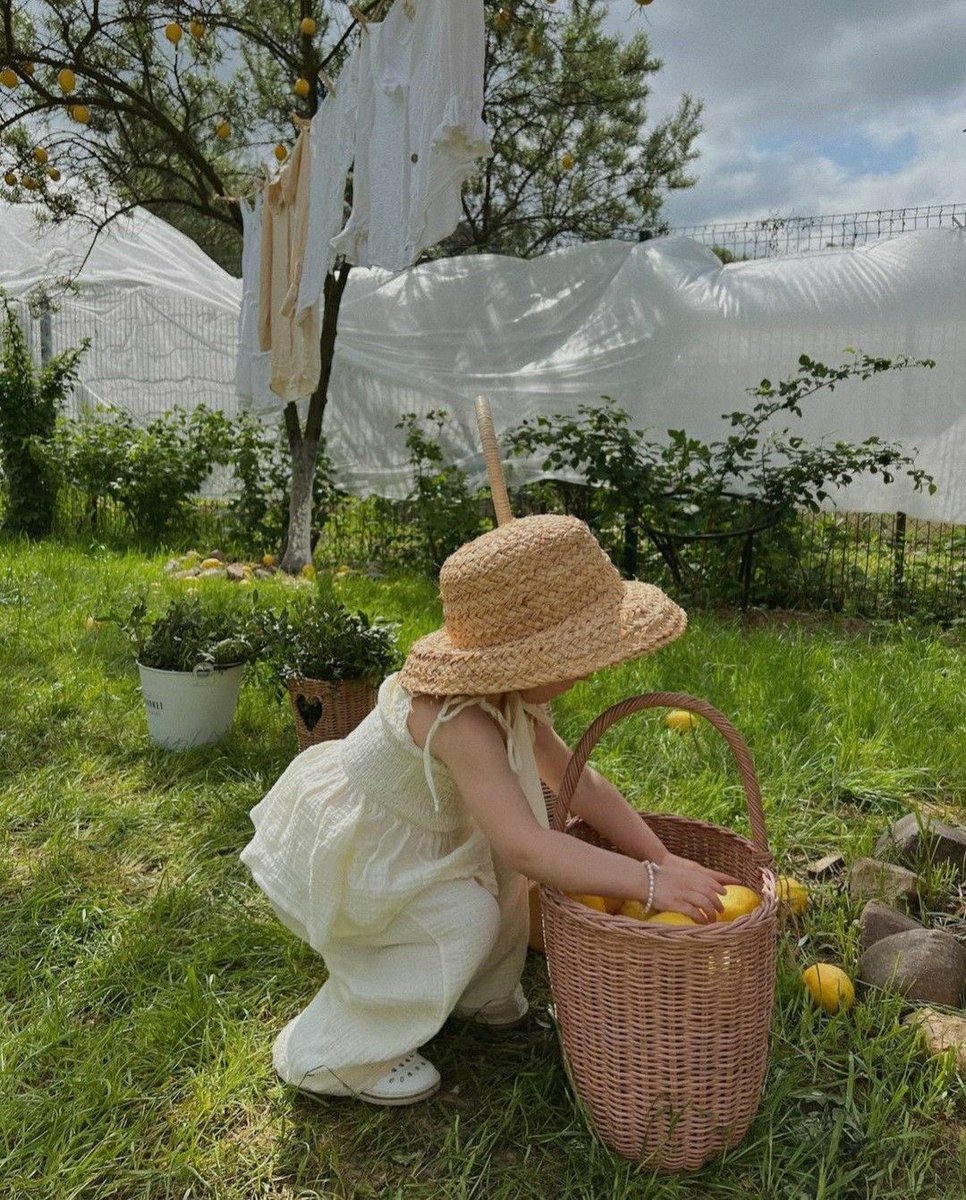 _littlethicket's tweet photo. a gentle way to exist https://t.co/itV3kYvTHb
