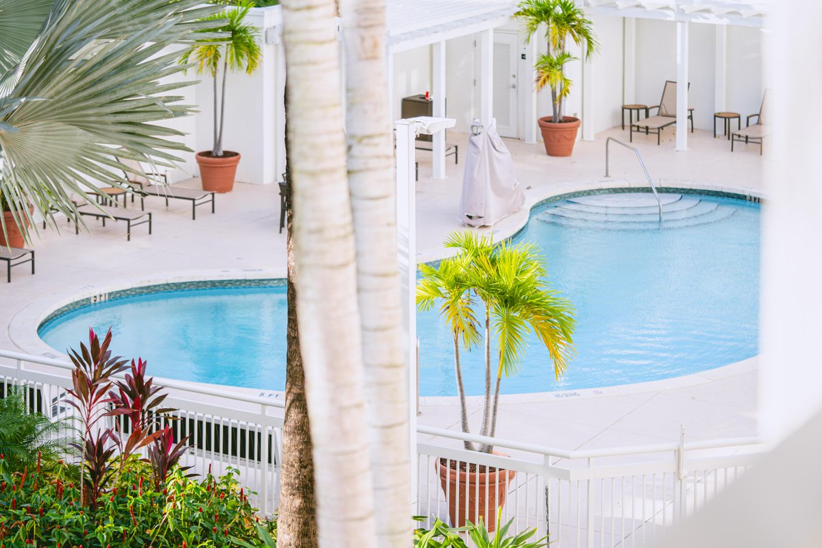 AventuraCY's tweet image. Weekend vibes! Relax under the palms and enjoy getaway in Miami.🌴💦

#vacation #courtyardbymarriott #hotel #getaway #miami #florida #southflorida #marriott #travel #friday #weekend