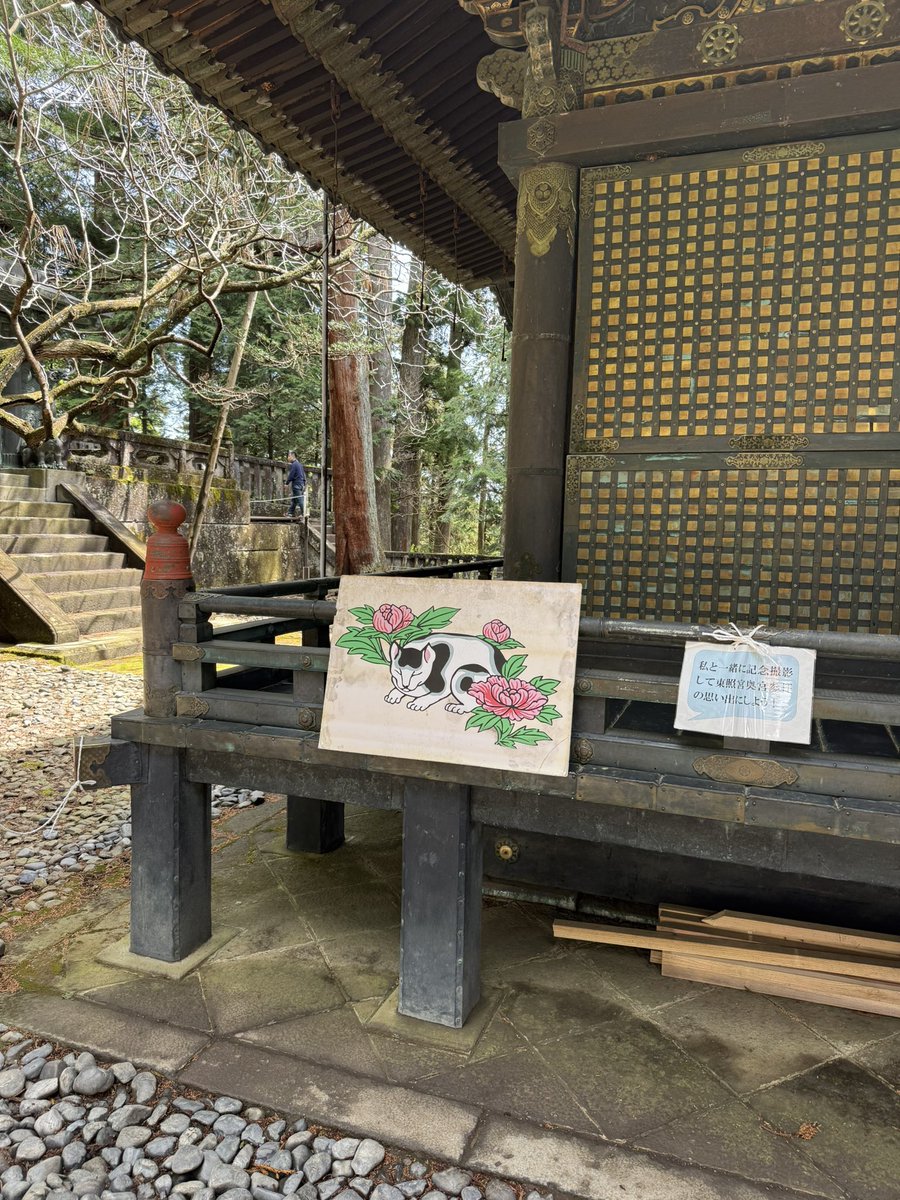 ミイホン tweet media