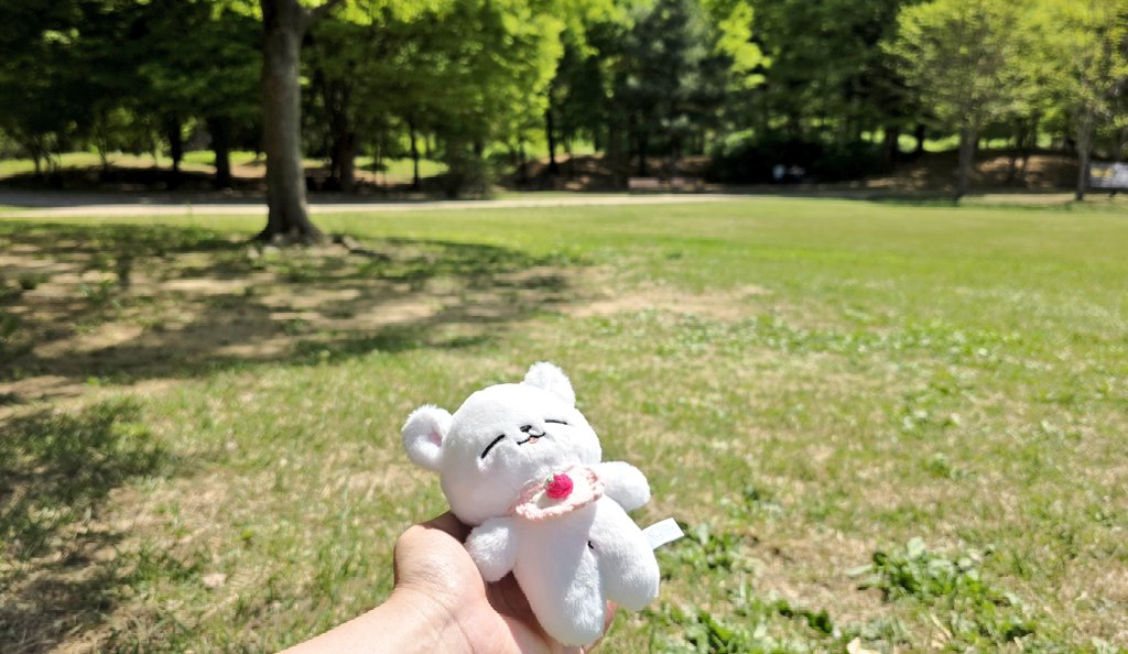 성우 김채하 tweet media