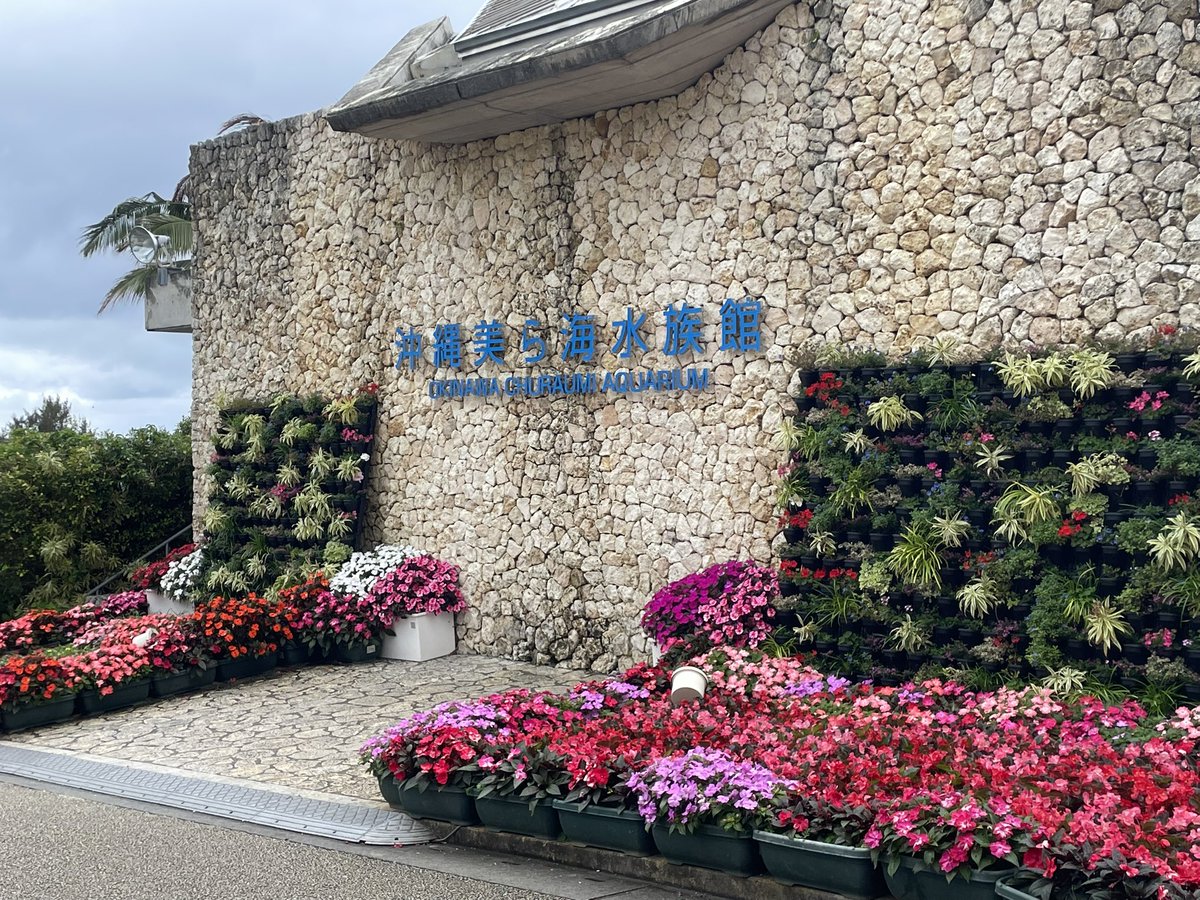 はる！！！ tweet media