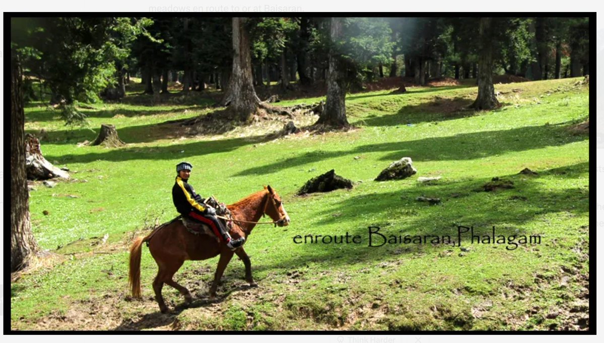 aatishechinar's tweet image. Pahalgam’s Baisaran meadows is set to get motorable road to improve accessibility. The road is estimated to cost Rs 6.08 crore and will be constructed upto Baisaran from Circuit Road.  Too little, too late. The step will hit livelihood of thousands of ponny operators. 

#Kashmir
