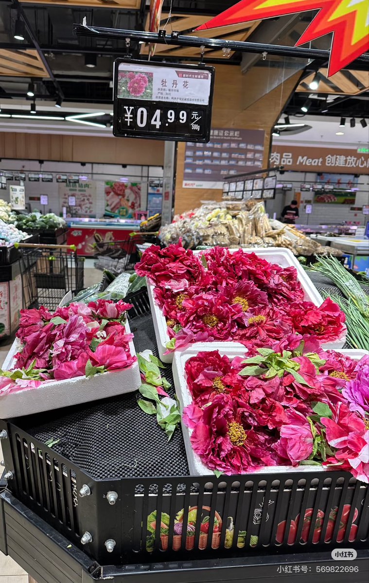 Lily Lee(100%Fo) tweet media