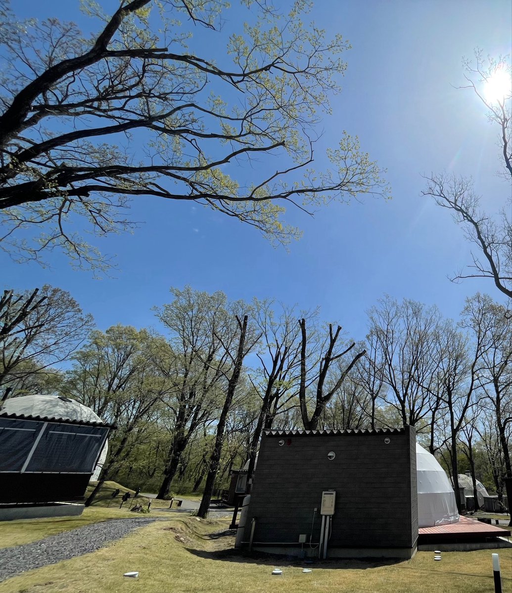 新緑がとってもきれいで春の訪れを感じますね🌿✨️

これから若葉がどんどん芽吹いて、緑に囲まれてのグランピングも癒されること間違いなし！

このシーズン、那須でグランピングデビューしてみませんか？✨️

 #那須 #グランピング #whitelamp