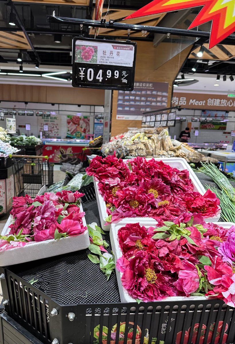 Lily Lee(100%Fo) tweet media